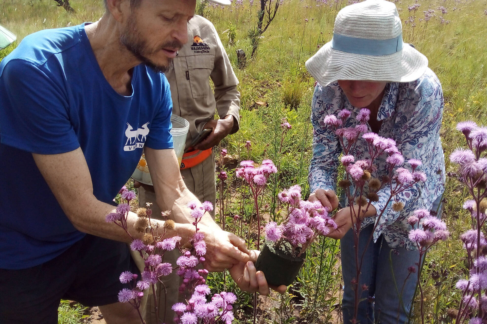 Moth release at Castle Gorge on 15 January 2022 – Michael Stiller, Sam Mmalekutu and Tam Scheidegger